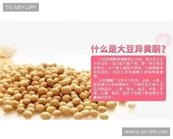 亚当斯的传奇人生与影响力探秘:从科学到文化的多重维度分析